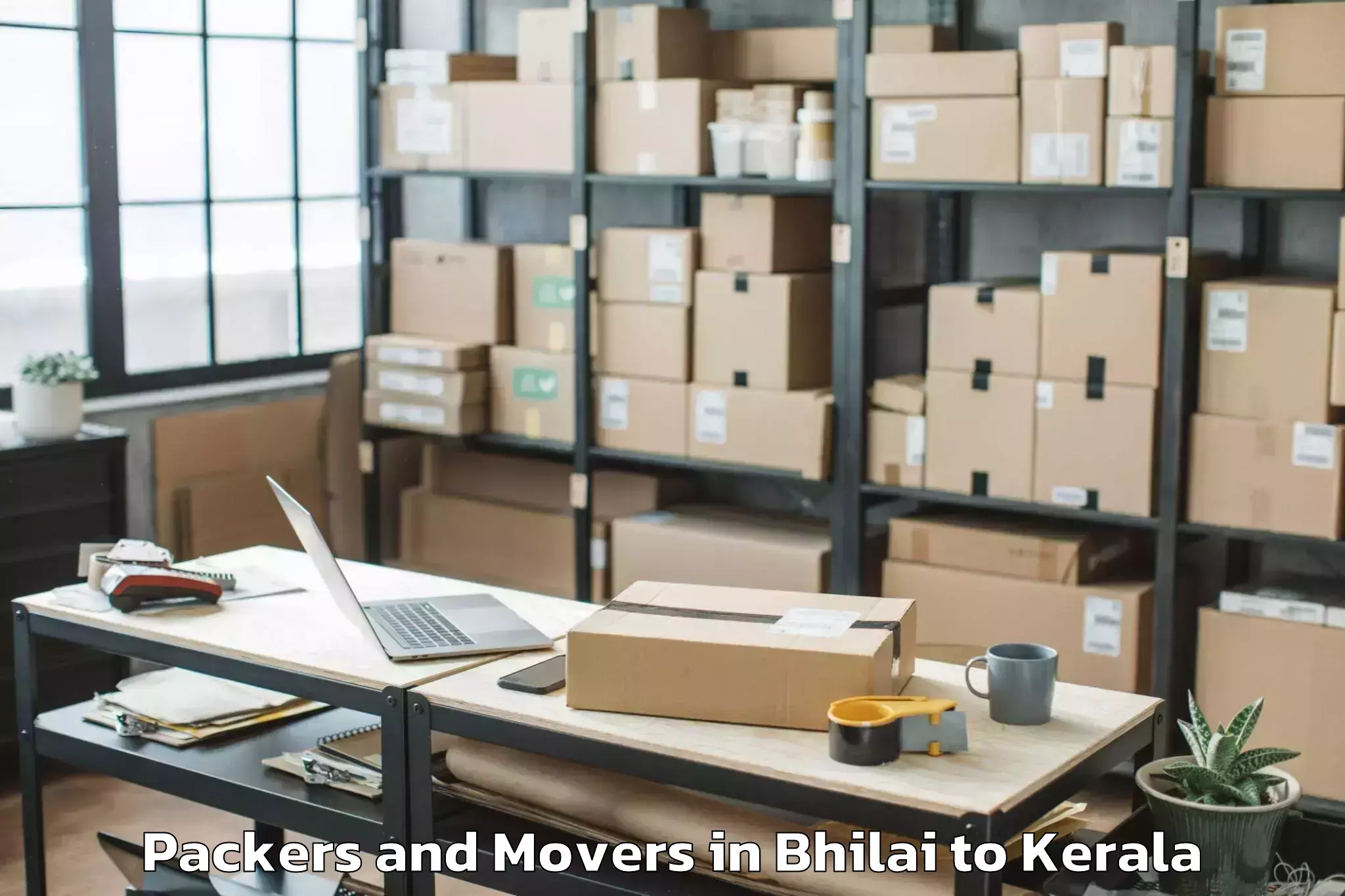 Professional Bhilai to Puthukkad Packers And Movers